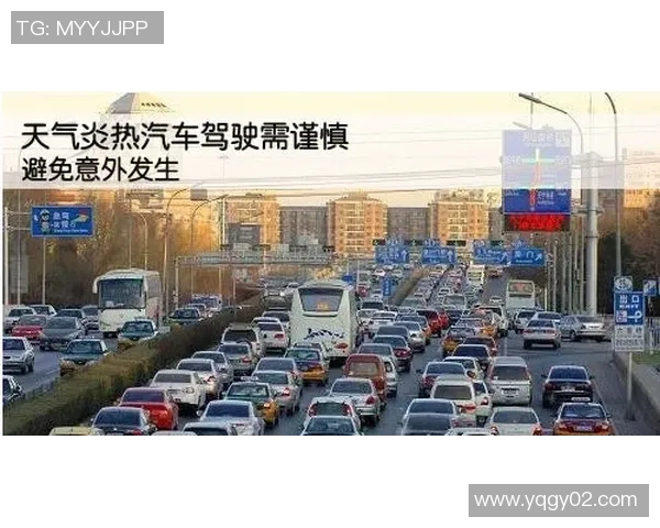 广东东莞银行与新疆广汇汽车激战正酣谁能在赛场上笑到最后